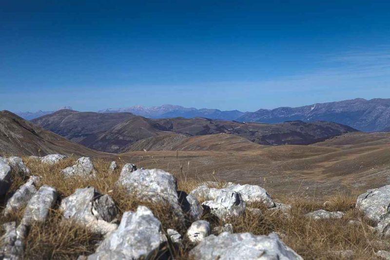long view.jpg